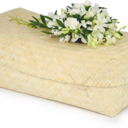 Bambus Casket- Der grüne Sarg